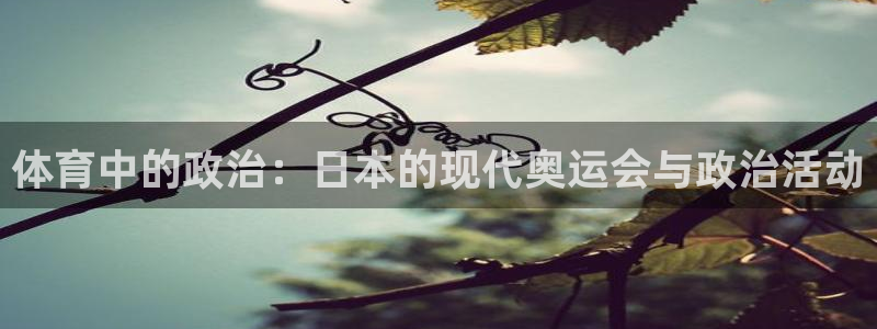 三亿体育登录