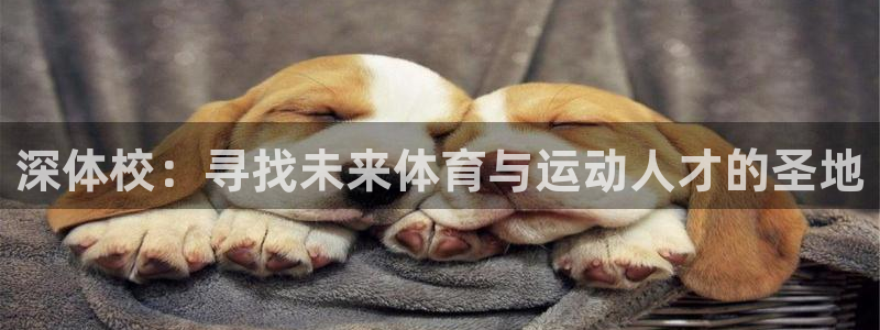 三亿体育网页版