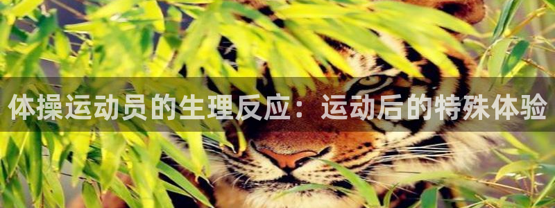 三亿体育网：体操运动员的生理反应：运动后的特殊体验