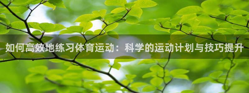 三亿体育登录：如何高效地练习体育运动：科学的运动计划与技巧提升