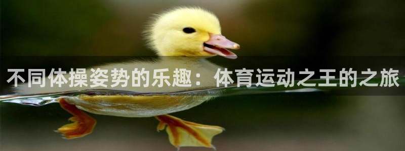 三亿体育网页版