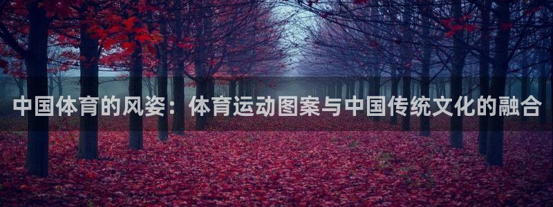 三亿体育登录：中国体育的风姿：体育运动图案与中国传统文化的融合